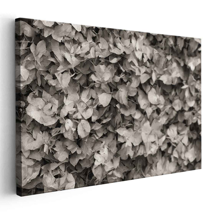Nostalgic Elegance: Sepia-Toned Leaf Composition Canvas Art