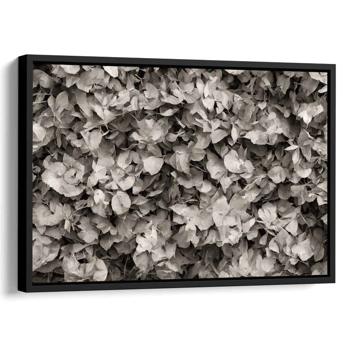 Nostalgic Elegance: Sepia-Toned Leaf Composition Canvas Art