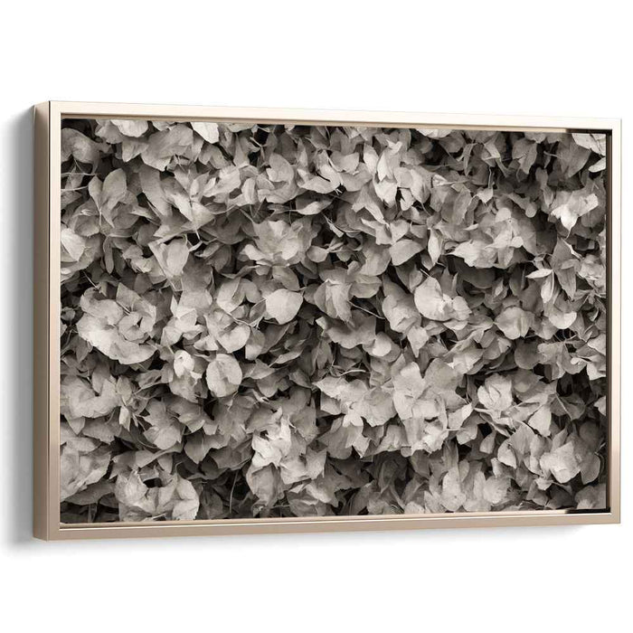 Nostalgic Elegance: Sepia-Toned Leaf Composition Canvas Art
