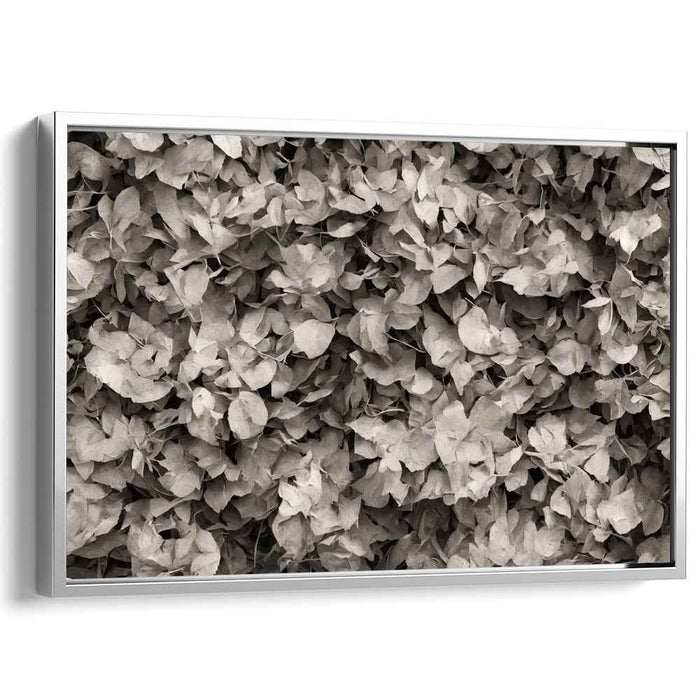 Nostalgic Elegance: Sepia-Toned Leaf Composition Canvas Art