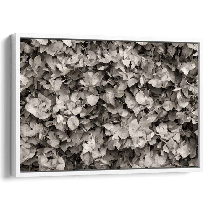 Nostalgic Elegance: Sepia-Toned Leaf Composition Canvas Art