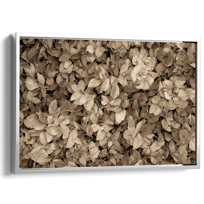 Rustic Memento: Sepia-Toned Leaf Symphony Canvas Art