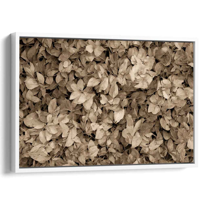 Rustic Memento: Sepia-Toned Leaf Symphony Canvas Art