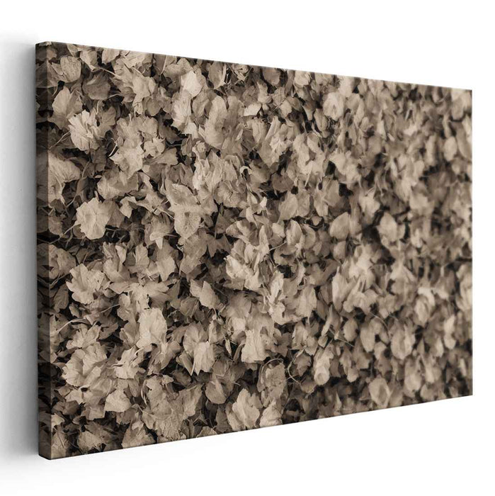 Whispers of Autumn Dreams: Sepia Toned Leaf Tapestry Canvas Art