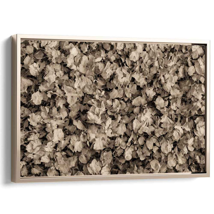 Whispers of Autumn Dreams: Sepia Toned Leaf Tapestry Canvas Art