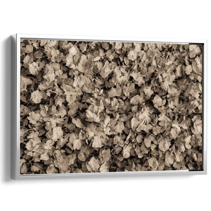 Whispers of Autumn Dreams: Sepia Toned Leaf Tapestry Canvas Art