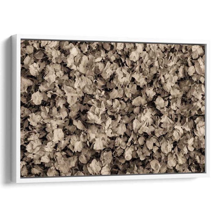 Whispers of Autumn Dreams: Sepia Toned Leaf Tapestry Canvas Art