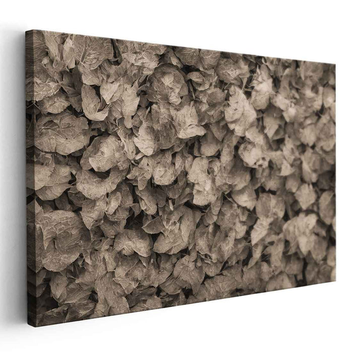 Earthy Echoes: Sepia Leaves Textured Canvas Art Print