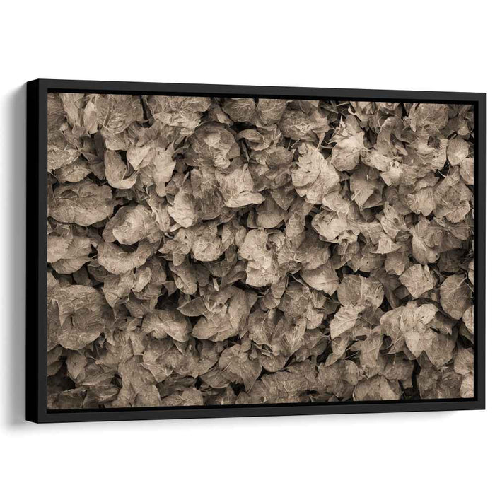 Earthy Echoes: Sepia Leaves Textured Canvas Art Print