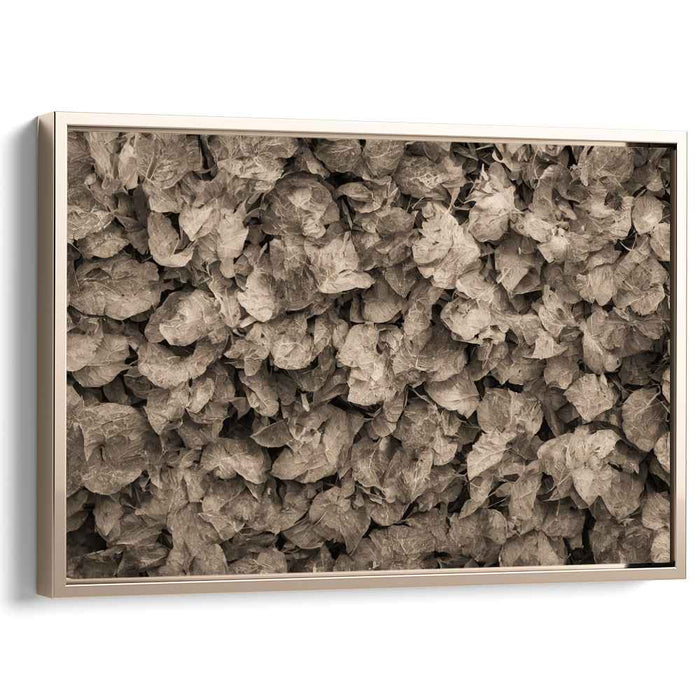Earthy Echoes: Sepia Leaves Textured Canvas Art Print