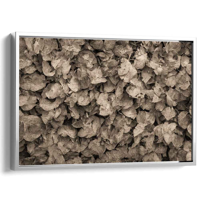 Earthy Echoes: Sepia Leaves Textured Canvas Art Print