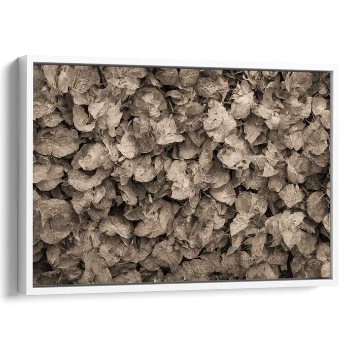 Earthy Echoes: Sepia Leaves Textured Canvas Art Print