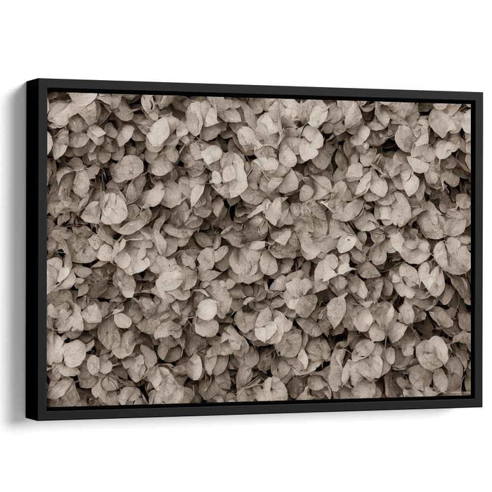 Sepia Leaves: Vintage Botanical Nature Canvas Art Print