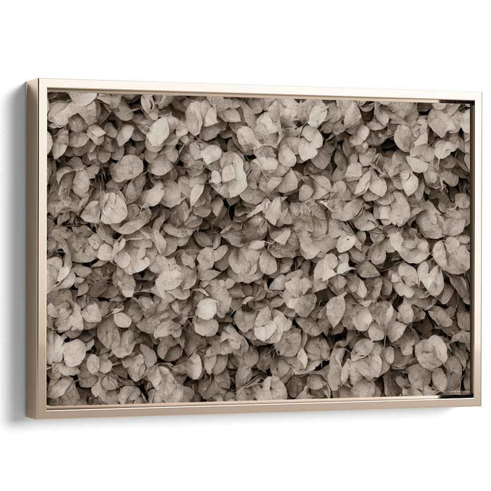 Sepia Leaves: Vintage Botanical Nature Canvas Art Print