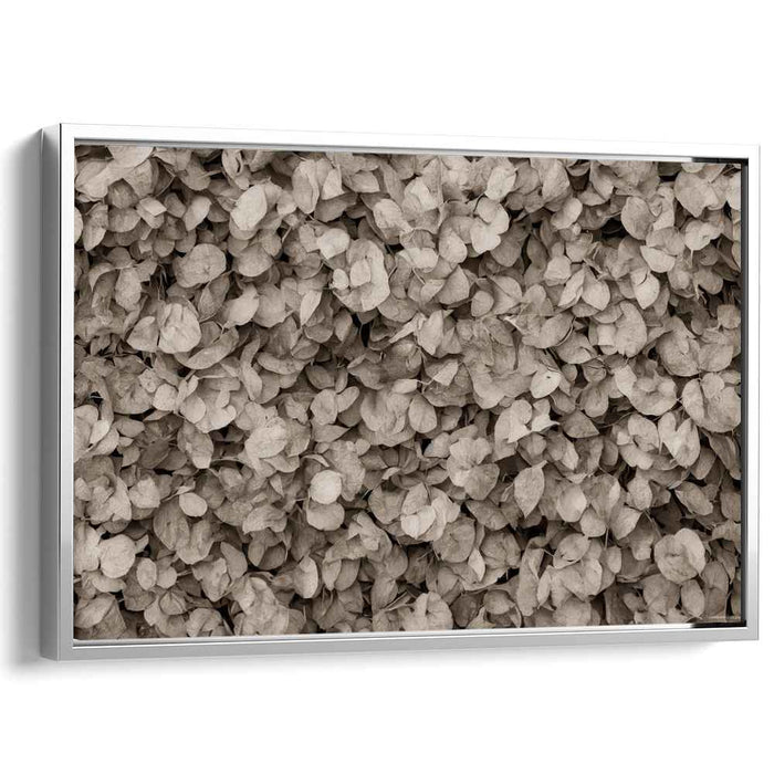 Sepia Leaves: Vintage Botanical Nature Canvas Art Print