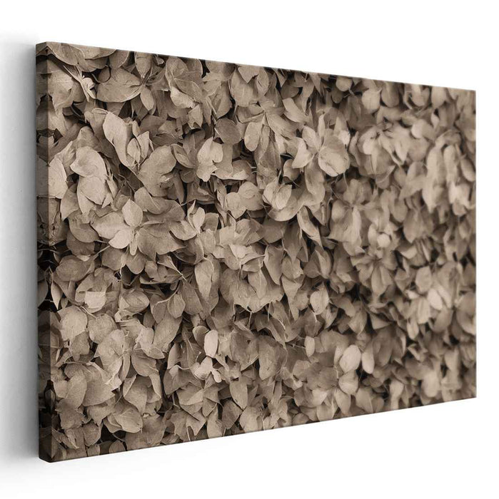 Vintage Foliage Ensemble: Sepia Toned Leaf Cluster Canvas Art Print