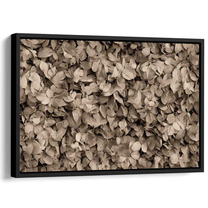 Vintage Foliage Ensemble: Sepia Toned Leaf Cluster Canvas Art Print
