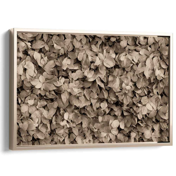 Vintage Foliage Ensemble: Sepia Toned Leaf Cluster Canvas Art Print