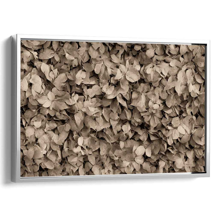 Vintage Foliage Ensemble: Sepia Toned Leaf Cluster Canvas Art Print