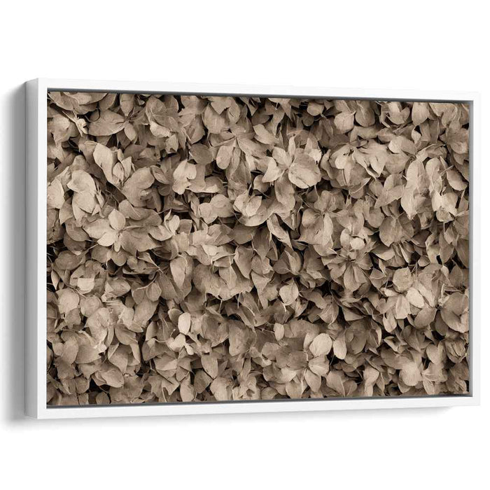 Vintage Foliage Ensemble: Sepia Toned Leaf Cluster Canvas Art Print