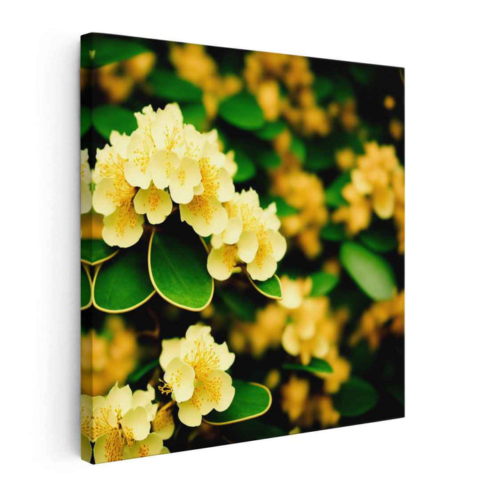 Sepia Rhododendron #004