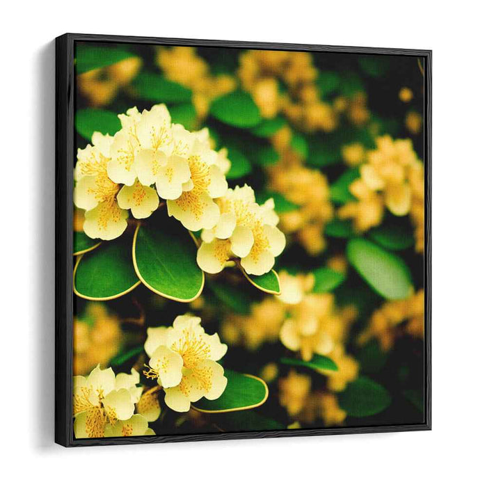 Sepia Rhododendron #004