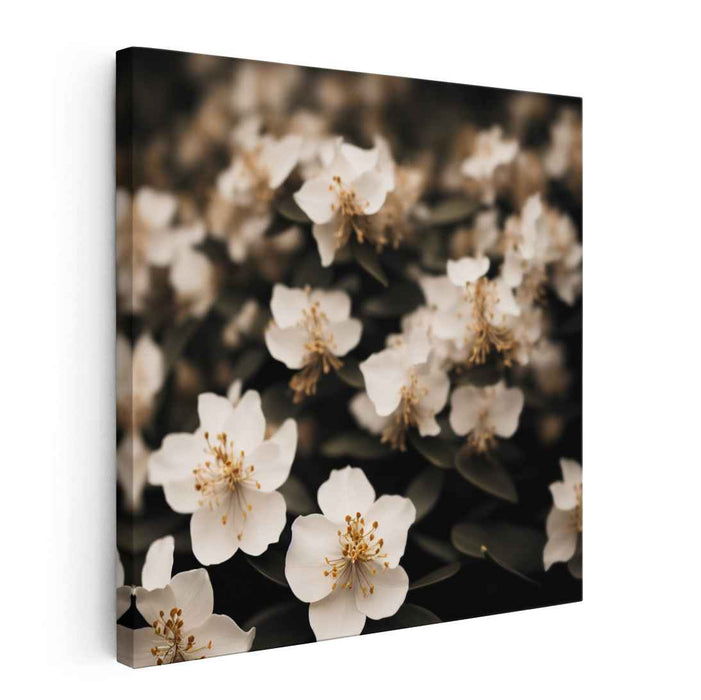 Sepia Rhododendron #006