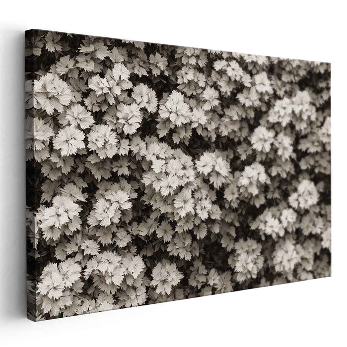 Fading Memories of Nature: Sepia Toned Photographic Realism Nature Canvas Art