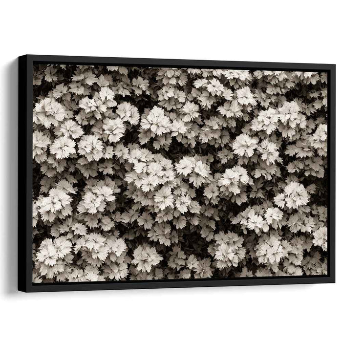 Fading Memories of Nature: Sepia Toned Photographic Realism Nature Canvas Art