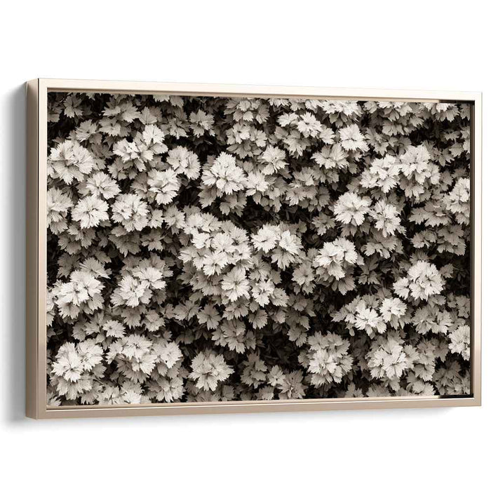 Fading Memories of Nature: Sepia Toned Photographic Realism Nature Canvas Art