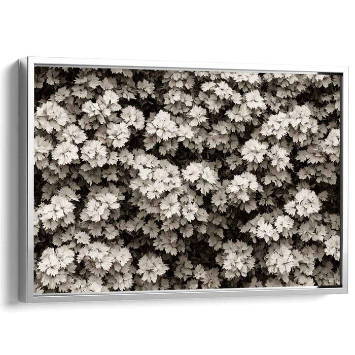 Fading Memories of Nature: Sepia Toned Photographic Realism Nature Canvas Art