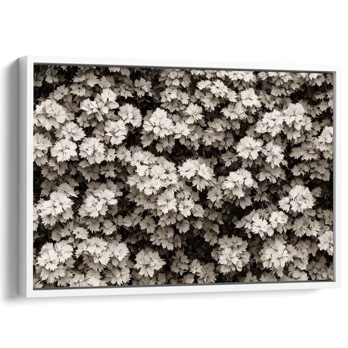 Fading Memories of Nature: Sepia Toned Photographic Realism Nature Canvas Art