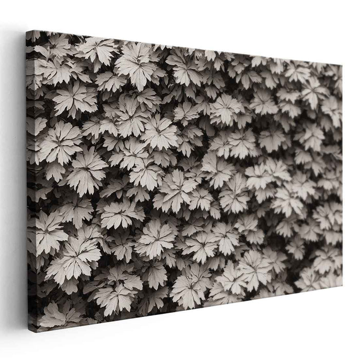 Ink-Blot Forest Serenity: Monochrome Leaf Patterns in Nature Photography