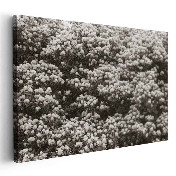 Retro Blossom Traces: Sepia Floral Canvas Art Print