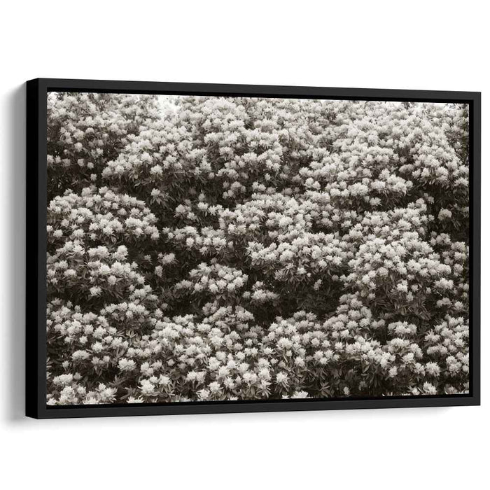 Retro Blossom Traces: Sepia Floral Canvas Art Print