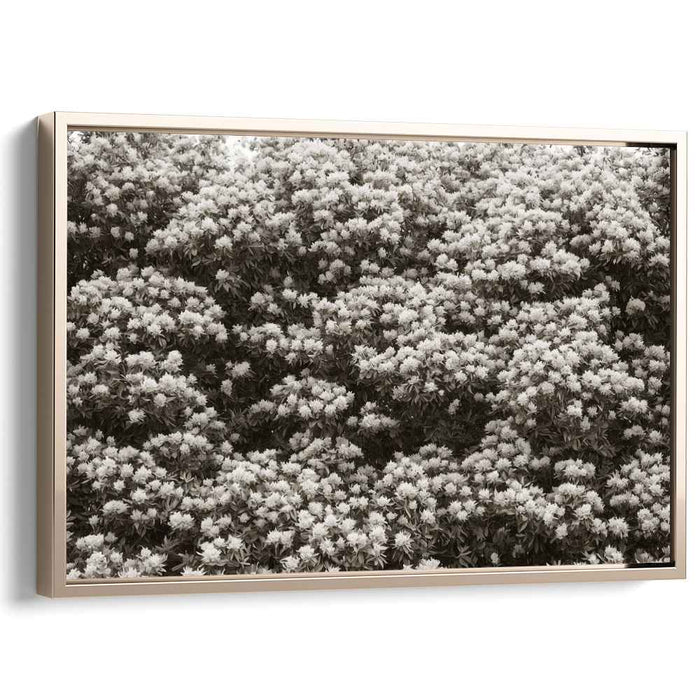 Retro Blossom Traces: Sepia Floral Canvas Art Print