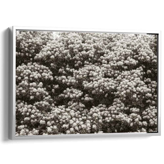 Retro Blossom Traces: Sepia Floral Canvas Art Print