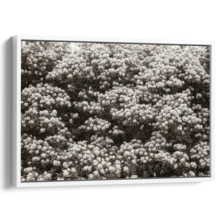 Retro Blossom Traces: Sepia Floral Canvas Art Print