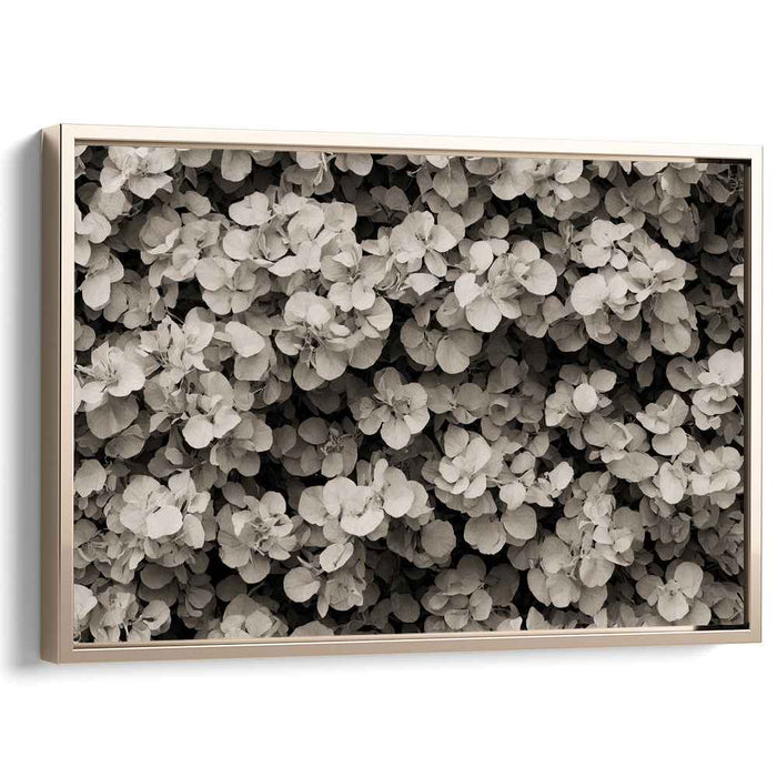 Retro Botanical Echoes: Sepia-Toned Botanical Study Canvas Art Print