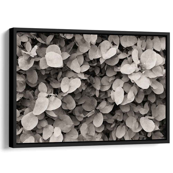 Geometry of Flora: A Study in Nature's Patterns