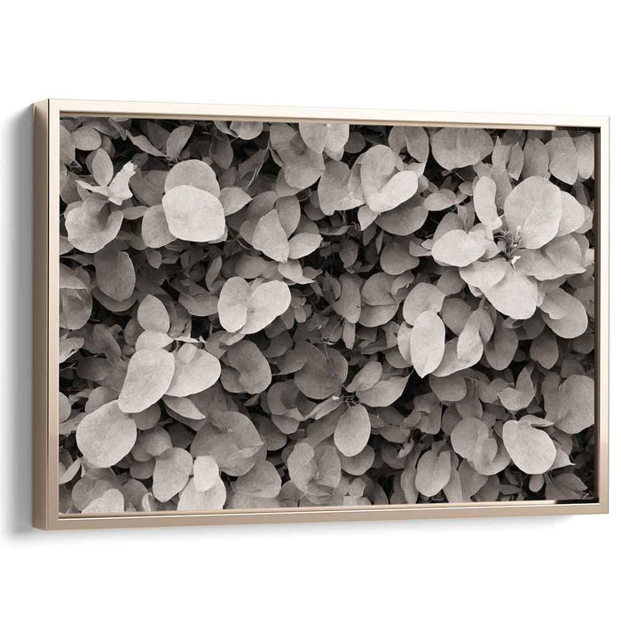 Geometry of Flora: A Study in Nature's Patterns