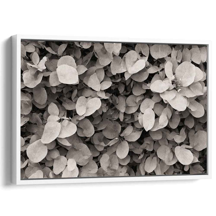 Geometry of Flora: A Study in Nature's Patterns