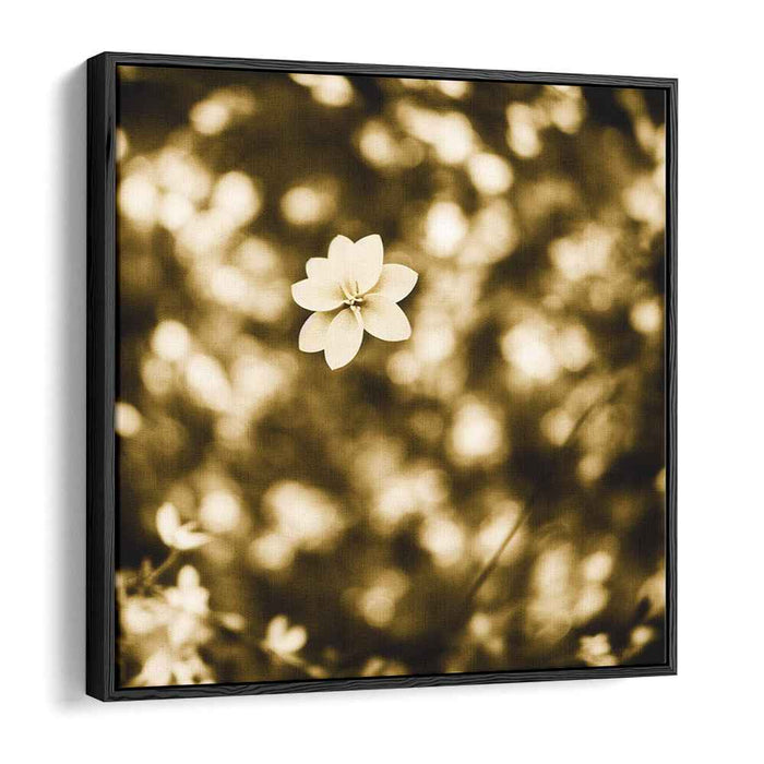 Weathered Petal Whispers: Sepia Toned Floral Photography