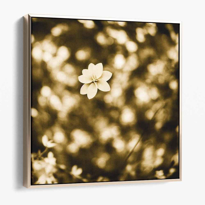 Weathered Petal Whispers: Sepia Toned Floral Photography