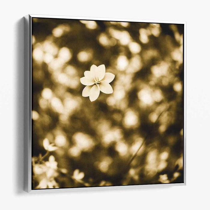 Weathered Petal Whispers: Sepia Toned Floral Photography