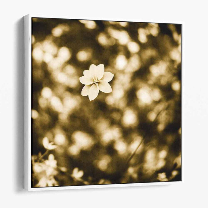 Weathered Petal Whispers: Sepia Toned Floral Photography