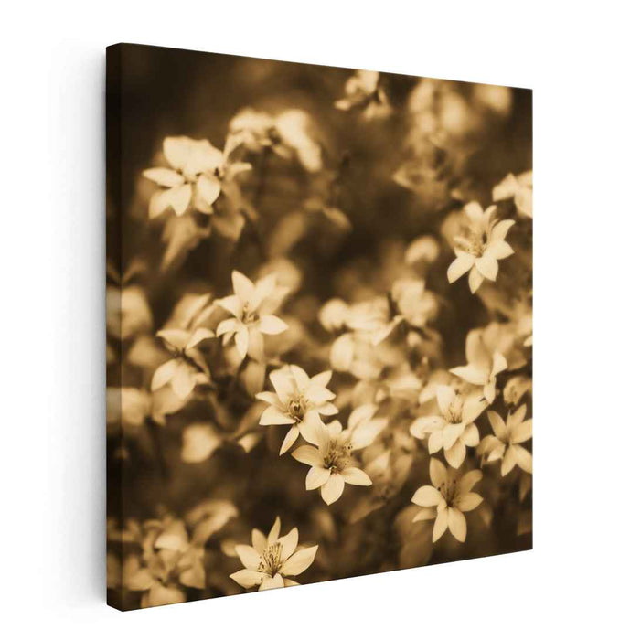 Vintage Blossom Melodies: Sepia-Toned Floral Symphony