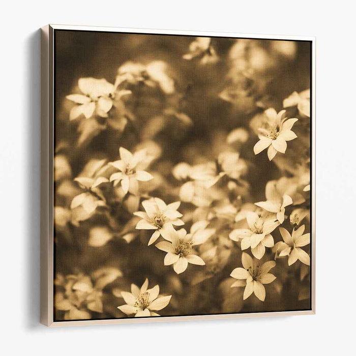 Vintage Blossom Melodies: Sepia-Toned Floral Symphony