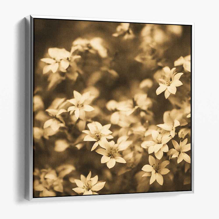 Vintage Blossom Melodies: Sepia-Toned Floral Symphony