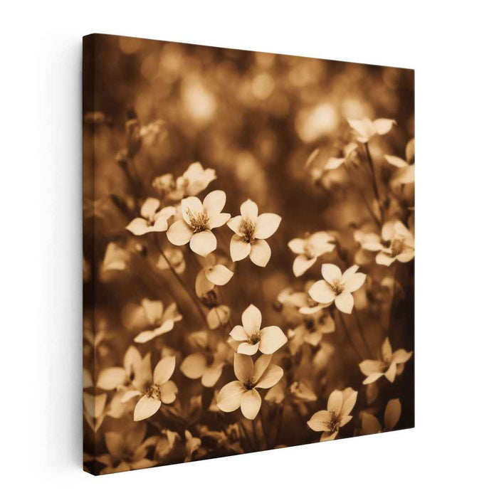 Vintage Botanical Blooms: Sepia-Toned Floral Canvas Art Print